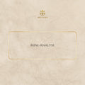 Mini-Analyse