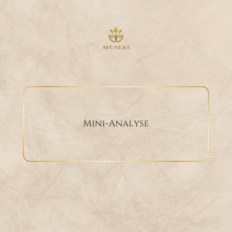 Mini-Analyse