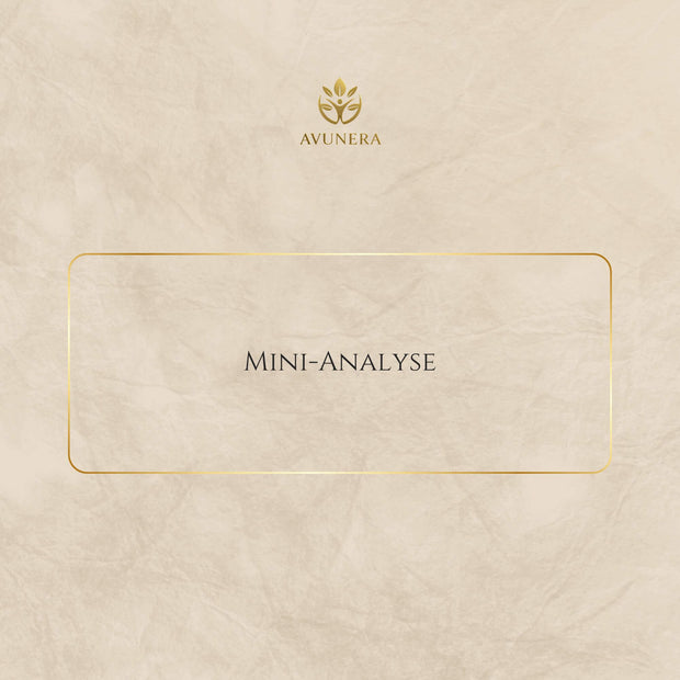 Mini-Analyse